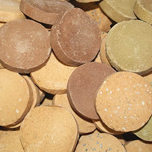 Amazon.co.jp: 豆乳おからクッキー 900g 堅焼きで食べごたえあり